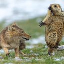 Cletus Ford - @ford_cletus - Twitter