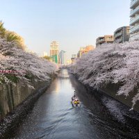 MS (@ms_11_13) 's Twitter Profile