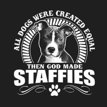 ILoveMyBrexit's profile picture. Don’t let Conservatives split the REFORM vote. Hug your Staffy. #ScrewEU  #NeverTrustLabour