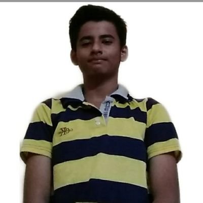 AnubhavBiswas13's profile picture. i just a small criticist who will criticize or support you the most. I don't support any political party