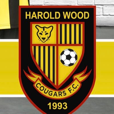 Harold Wood Cougars U14 ‘Blacks’ We play 11-a-side football in the Brentwood league. Coach Phil Plant - philhwcougarsfootball@gmail.com