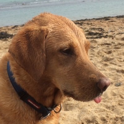 KarenPinel1's profile picture. 