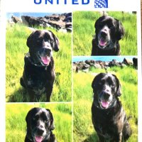 SueM_inBOS (@sueminb) 's Twitter Profile