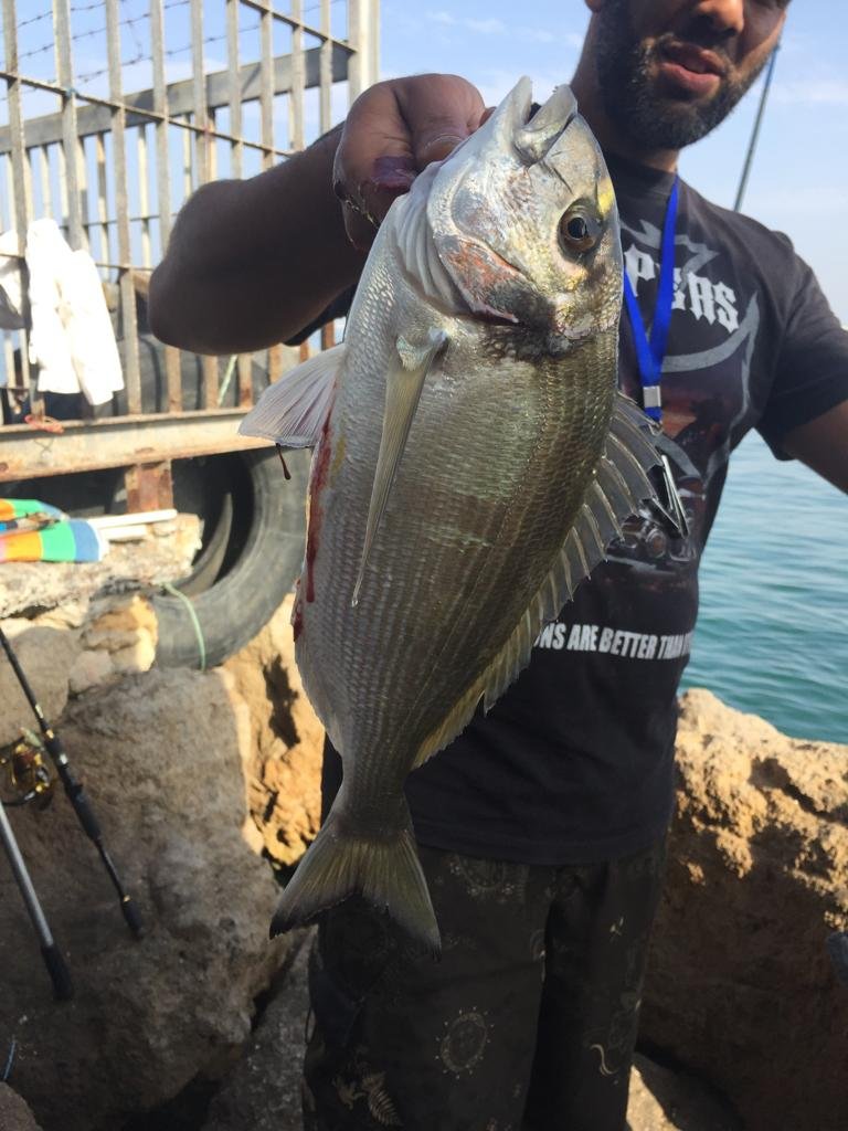 salimbenmiloud2's profile picture. 