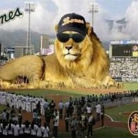 WilfredoBastar6's profile picture. 