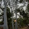 Aishik_Ghosh_'s profile picture. Assistant Professor of AI in School of Physics @GeorgiaTech
Fundamental Physics ∩ AI
AI Policy