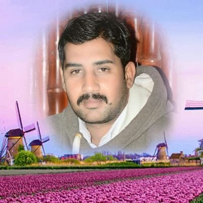 2da9ac519523487's profile picture. Auditor