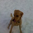 Jason Durrett - @JasonDurrett11 - Twitter