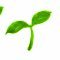 わかな🌱さんのプロフィール画像