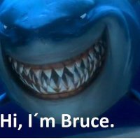 Bruce (@_bruce_b) 's Twitter Profile