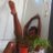 Cocoflwerchild's profile image