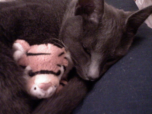 maidos7's profile picture. 