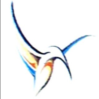 yoeri's profile picture. $yoeri