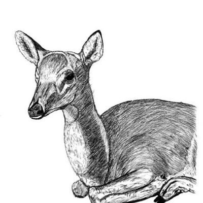SEINAさんのプロフィール画像