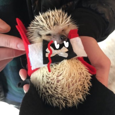 shat___'s profile picture. she/her/hers CHINGA LA MIGRA