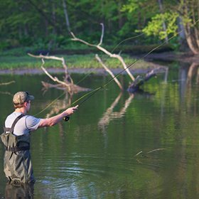 Producer of top-notch trout flies at a wholesale price
Serving the International Fly-Fishing Community since 2008  https://t.co/yMIS6jbD7p