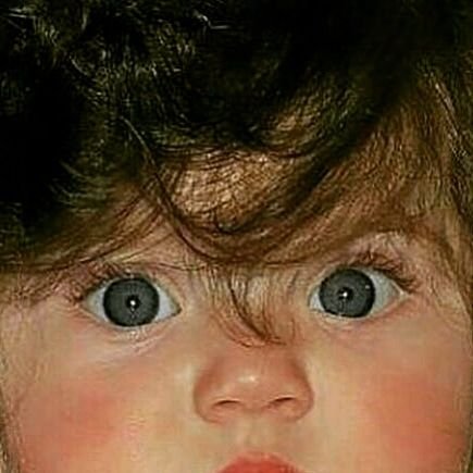 darcubb's profile picture. ‏چنان نماند و چنین نیز هم نخواهد ماند