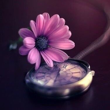 om___ibra's profile picture. 