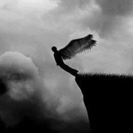 juanbvago's profile picture. Insultos