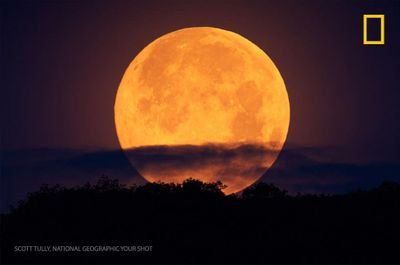 ScientificReas2's profile picture. My behaviour with people and my helping nature, positive thinking will make me special