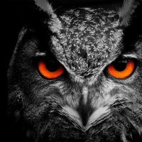 WiseThinker (@wisethinker5) 's Twitter Profile