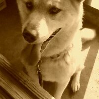 てっぺい (@teppei0927) 's Twitter Profile