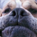 douglas berry - @chewbaccaboots - Twitter