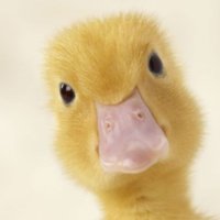 Justme (@addleyjennifer) 's Twitter Profile