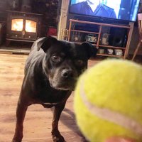 Lauren Barkes-Nickolds (@laurenjadebarx) 's Twitter Profile Photo Lauren Barkes-Nickolds (@laurenjadebarx) 's Twitter Profile Photo