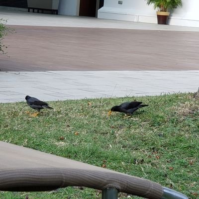 wjztcc's profile picture. 