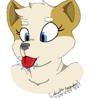 Corgipills (@corgipills) 's Twitter Profile