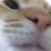 Illooolllooolllooolll (@illooolllooolll) Twitter profile photo Illooolllooolllooolll (@illooolllooolll) Twitter profile photo