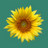 green7k's profile image