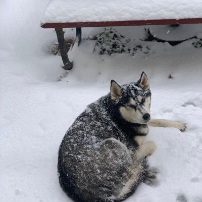 wblaney's profile picture. 