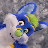 Yach (@yachbluewolf) 's Twitter Profile