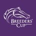 Breeders' Cup (@BreedersCup) Twitter profile photo