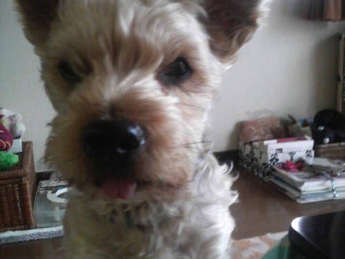 yui19911007's profile picture. 夢と魔法の王国🏰冒険とイマジネーションの海🌋/17👼/∞🎸/SANGA F.C.