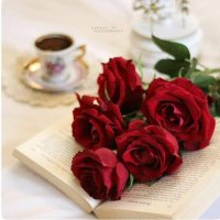 ام صلاح (@hhf9scqdqchu468) 's Twitter Profile