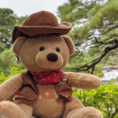 さとゆー ペリッパー蓄えるアクアリング熱湯とかで物理受けもできるしあめふらしで暴風必中ドロポン威力上昇できる