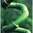 BambooGardens's profile image