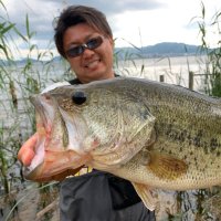 謎の師匠 剣崎 (@breakdowni) 's Twitter Profile Photo 謎の師匠 剣崎 (@breakdowni) 's Twitter Profile Photo