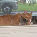 Ella Petty - @drowse39 - Twitter