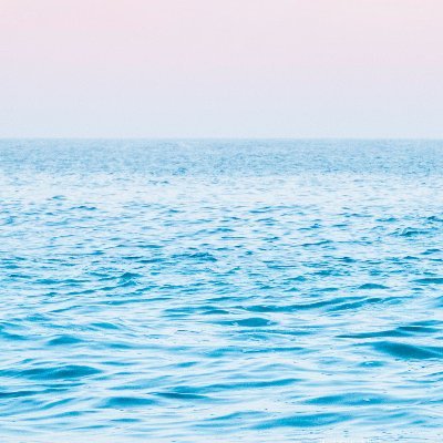 katacka's profile picture. 