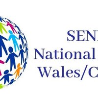 SEND National Crisis - Wales SEN Action Group (@sendwales) 's Twitter Profile