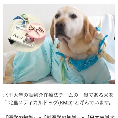 北里大学メディカルセンターで犬の力を借りた治療〔動物介在療法〕を行っています。沢山の方々のご協力をいただき、活動予算確保のためのクラウドファンディングは無事成立しました!心よりお礼申し上げます。