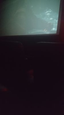 Frankma22008360's profile picture. un joven que desea tener una vida normal en la escuela y en mi familia