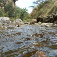 murathe.lens (@murathe_a) 's Twitter Profile