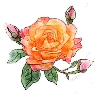 みれいさんのプロフィール画像