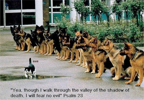 One step behind but keeping up.