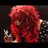 LaurenRBrady's profile image